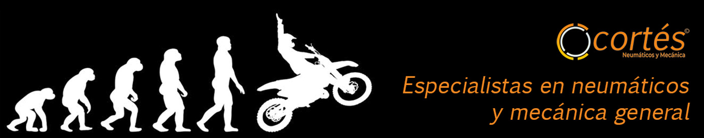 Especialista en neumáticos y mecánica general